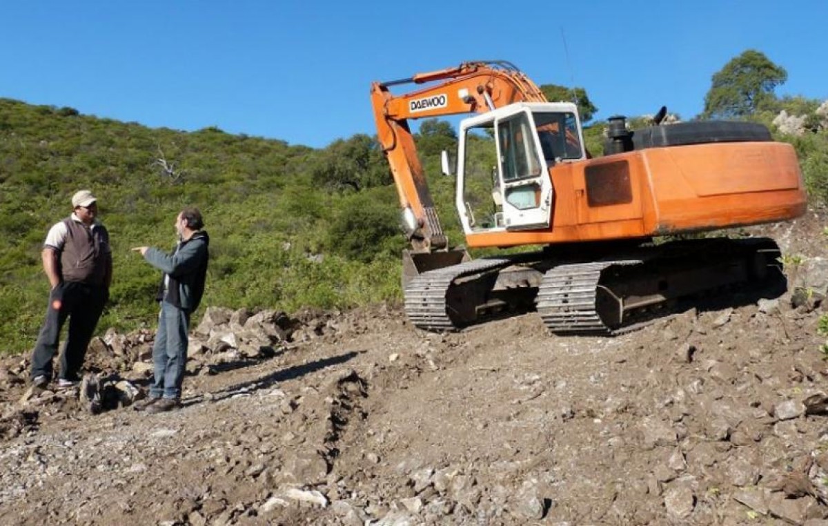 Córdoba pierde 44 estadios por día de bosque nativo