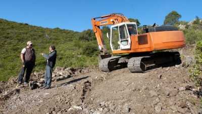 Córdoba pierde 44 estadios por día de bosque nativo