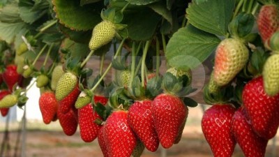 Se empieza a pensar el cordón verde de los alrededores de Santa Fe como circuito turístico