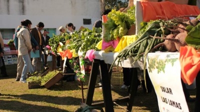Huertas Urbanas en solares, escuelas y vecinales de Santa Fe