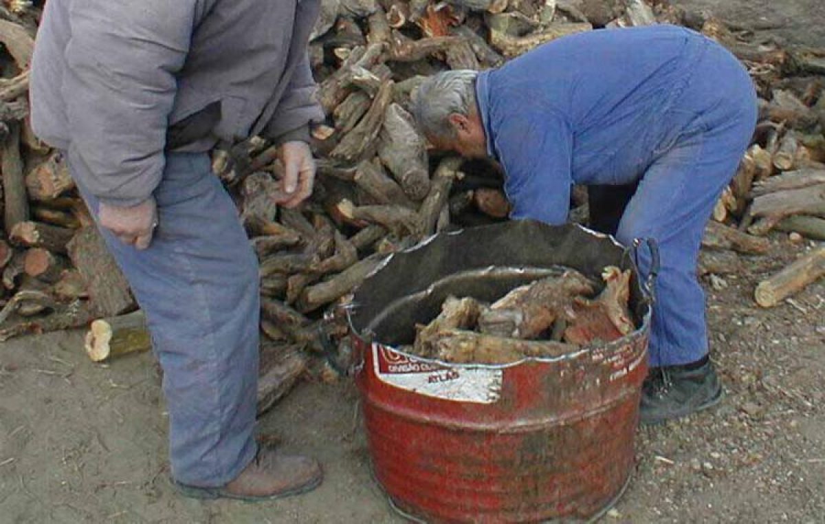 El municipio de Allen reparte leña para asistir a los vecinos