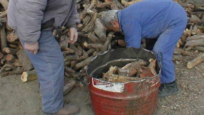 El municipio de Allen reparte leña para asistir a los vecinos