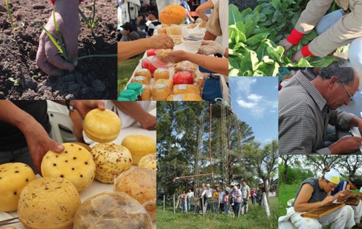 El Gobierno Nacional crea sello «producido por la agricultura familiar»