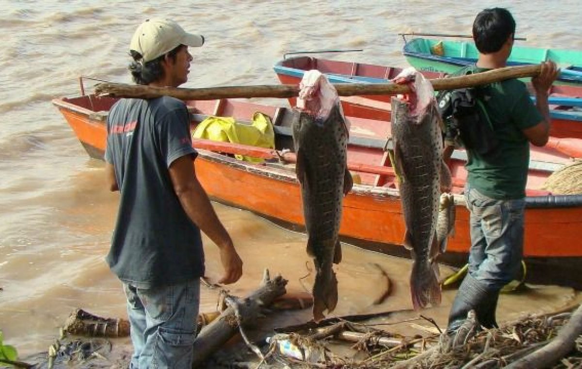 Diamante tendrá una planta de acopio de pescado