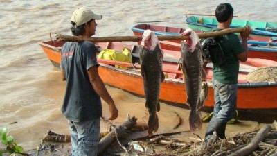 Diamante tendrá una planta de acopio de pescado