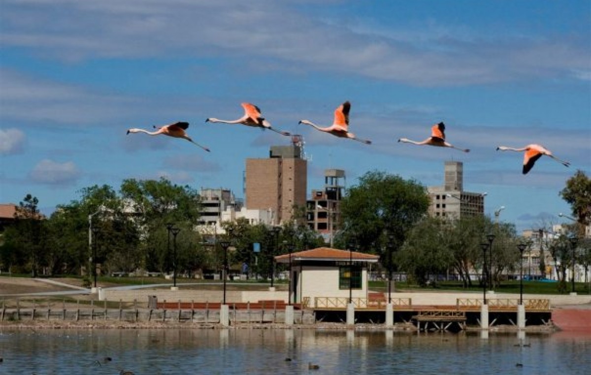Presentan plan de desarrollo de Trelew con proyección hasta 2030