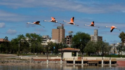 Presentan plan de desarrollo de Trelew con proyección hasta 2030