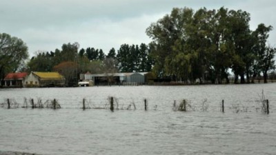 Sur de Santa Fe: Las aguas bajan en la región, pero aún preocupa la situación hídrica