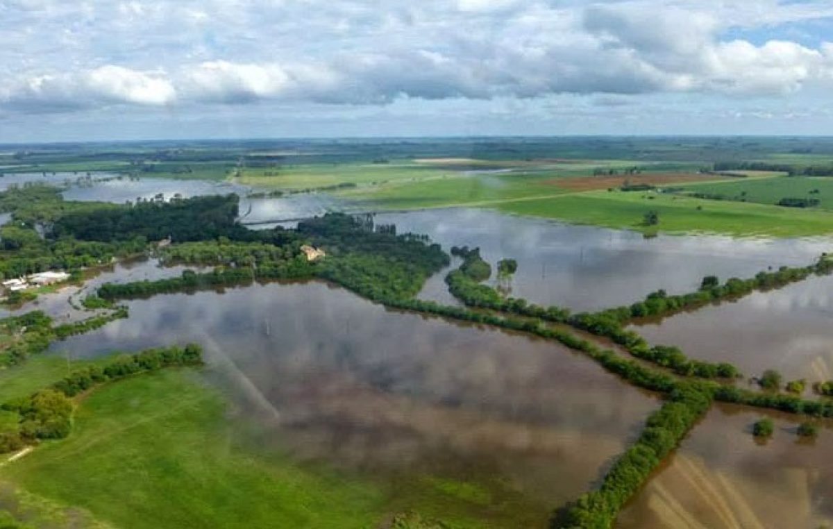 Baradero: Hay 80 mil hectáreas tapadas por el agua