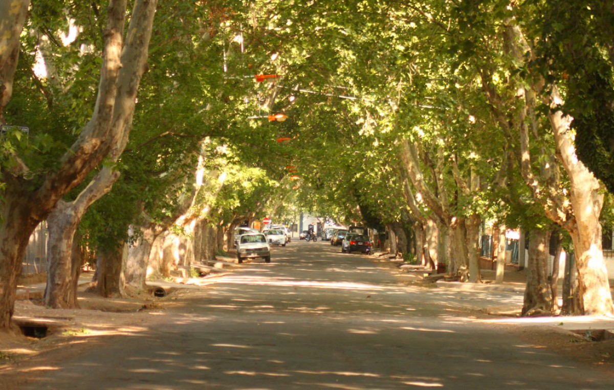 Sesenta distritos de Mendoza pueden pedir su autonomía municipal