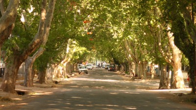 Sesenta distritos de Mendoza pueden pedir su autonomía municipal