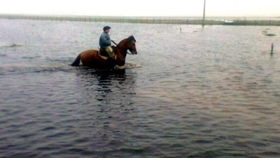 Temporal en Buenos Aires: Emergencia y desastre agropecuario en 66 municipios