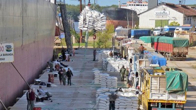 En un mes tres navíos embarcarán 90.000 toneladas de arroz argentino desde Entre Ríos