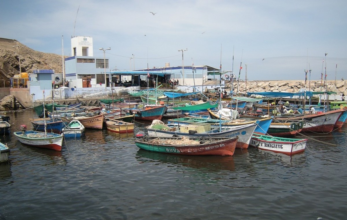 Puerto San Julián: Impulsan desarrollo de un Polo Productivo Pesquero