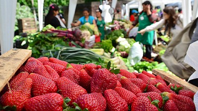“La agricultura familiar representa el 66 por ciento de los productores agropecuarios de nuestro país”