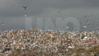 Santa Fe: buscan aprovechar el biogás del relleno sanitario para generar electricidad