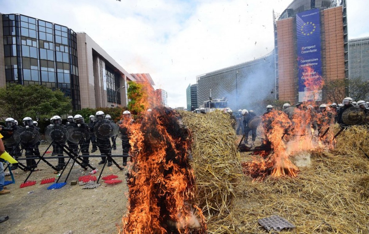Miles de agricultores europeos protestan por la crisis del sector