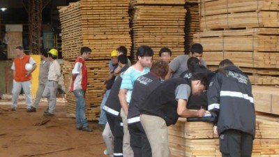 La AFIP descubrió a 71 trabajadores «en negro» en una empresa forestal