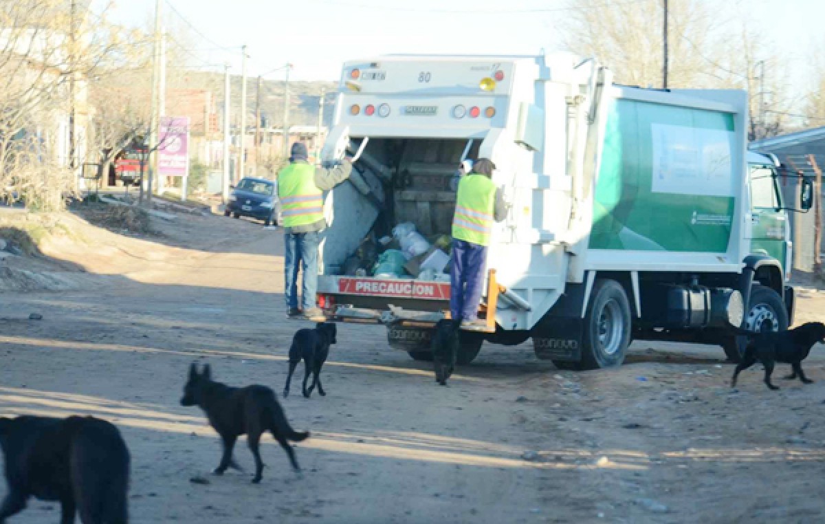 En Plottier, después de dos semanas ya levantan la basura