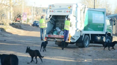 En Plottier, después de dos semanas ya levantan la basura