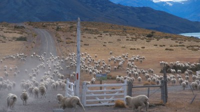 Santa Cruz: Instalarán planta de almacenamiento que generaría 1.400 nuevos empleos
