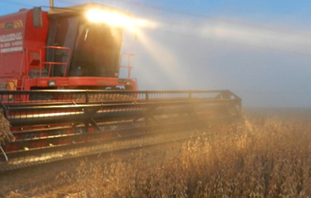 Argentina es el segundo país de la región con mayor cantidad de inversiones en agronegocios