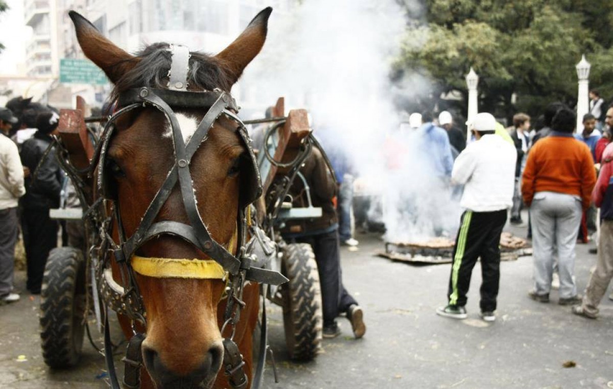 Lanzaron plan de ayuda a las 383 familias que viven de la actividad de cirujeo en Río IV