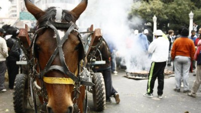 Lanzaron plan de ayuda a las 383 familias que viven de la actividad de cirujeo en Río IV