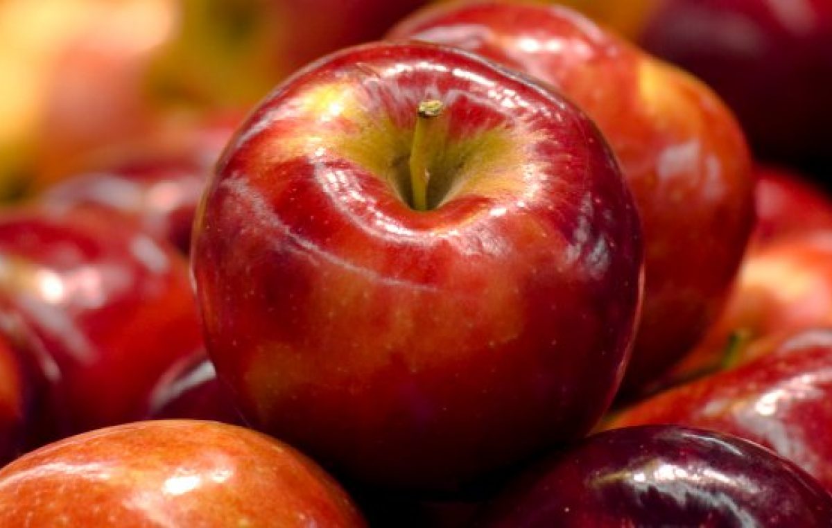 Impulsan medidas para aliviar las restricciones brasileñas al ingreso de fruta mendocina