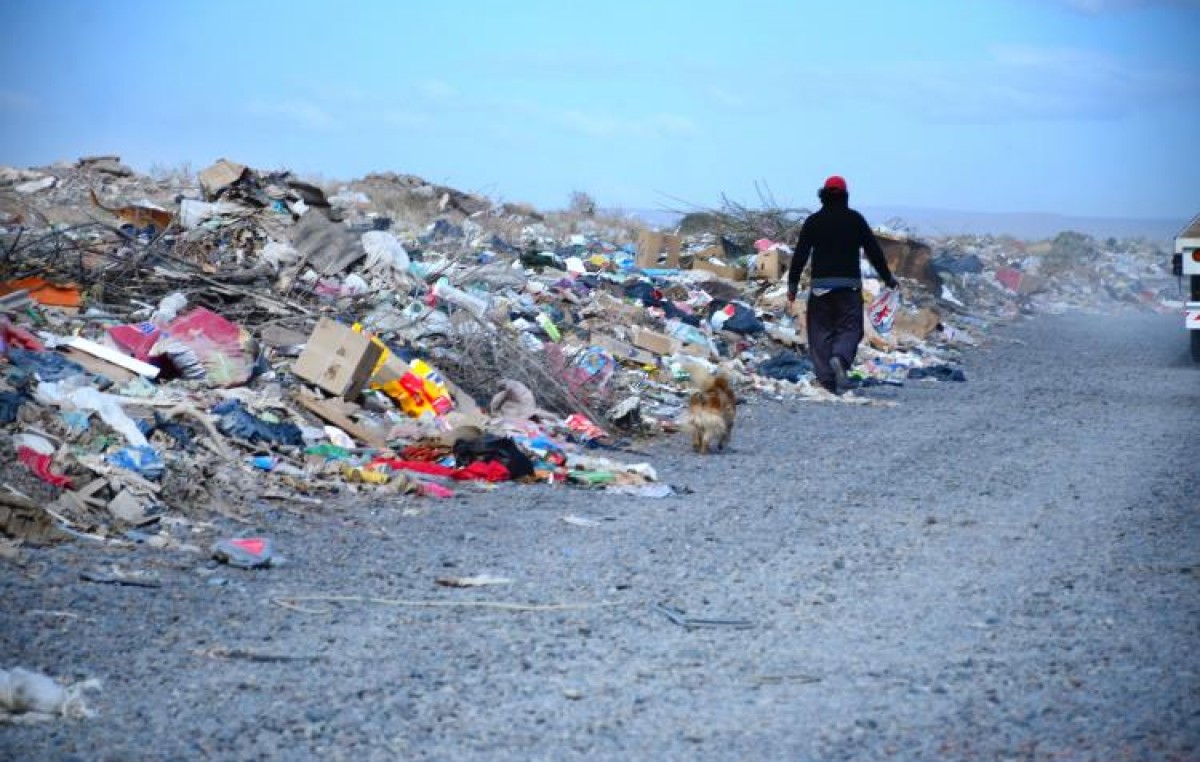 Formalizarán el empleo en el basural neuquino, una pyme cartonera para reciclar y cambiar vidas