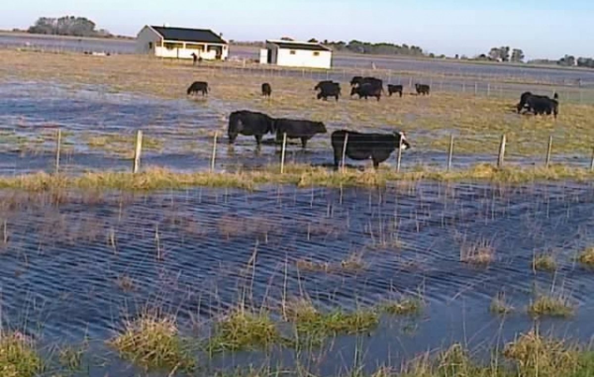Extienden la emergencia por las inundaciones a 64 municipios bonaerenses