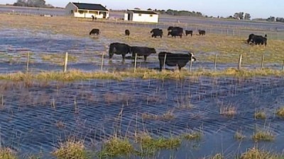 Extienden la emergencia por las inundaciones a 64 municipios bonaerenses