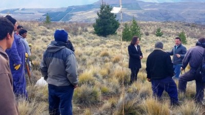 Plantaron más de 40 mil árboles en las laderas de Esquel