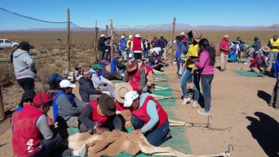 Primeras capturas y esquila de este año en Jujuy
