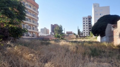 Neuquén: Persiguen a dueños de baldíos sucios con fuertes multas