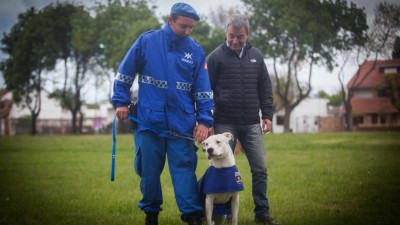 Mar del Plata: Entrarán en acción la Unidad Canina de la Policía Local