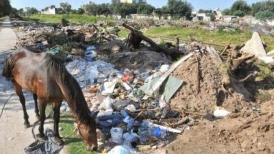 Advierten que hace falta regular el uso de bolsas plásticas y la basura en Río Cuarto