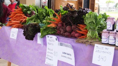 Paraná: Se abre una chance para pensar en agroecología y la agricultura familiar