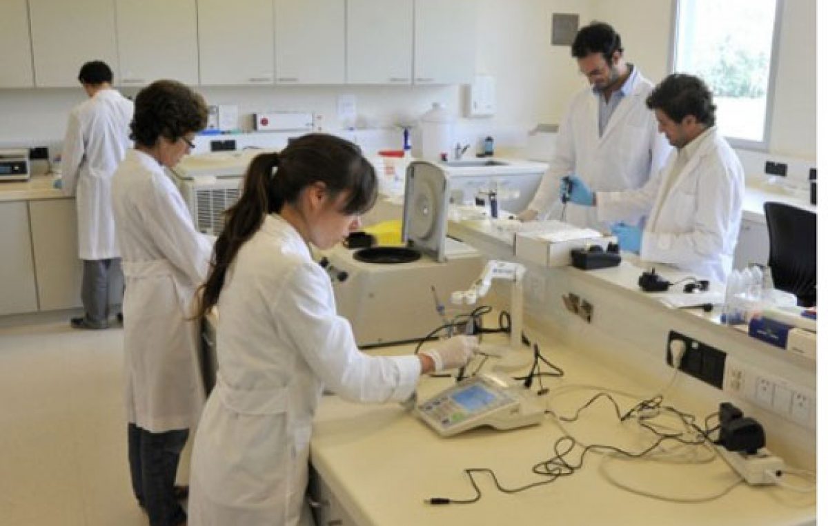 Salta recibirá más de $28 millones en subsidios para innovación tecnológica regional