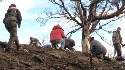 Concluyó la cuarta campaña de reforestación “Soy Parte del Bosque Fueguino”