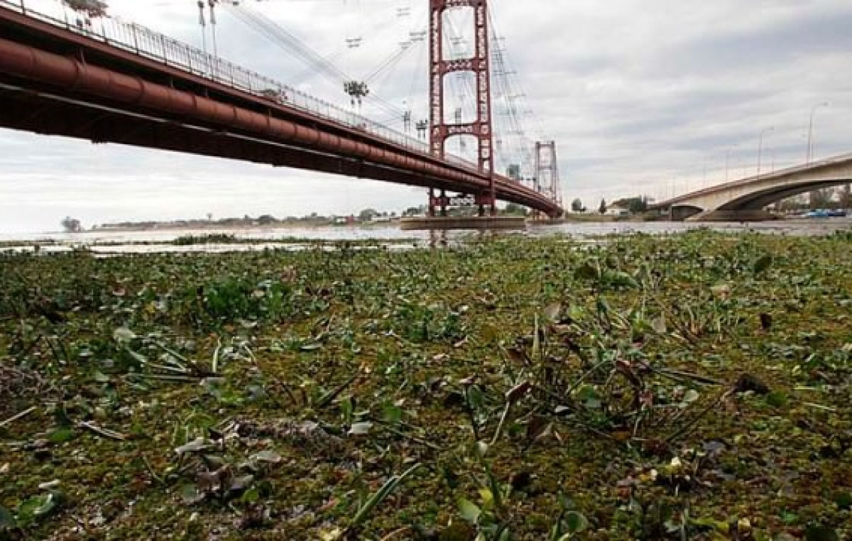 Declaran situación de alerta en la cuenca del Paraná por la crecida