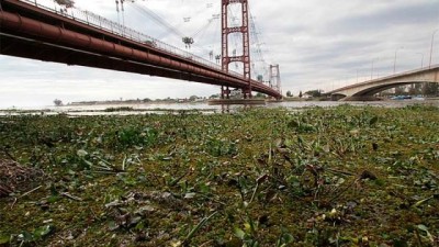 Declaran situación de alerta en la cuenca del Paraná por la crecida