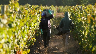 Desde la OIT resaltan que hay condiciones para lograr pobreza cero en el país