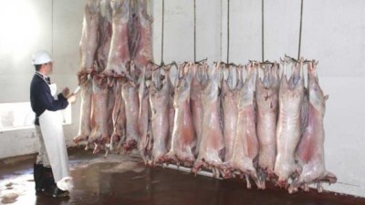 Matadero de Ushuaia: Se firmó convenio para avanzar con la obra definitiva