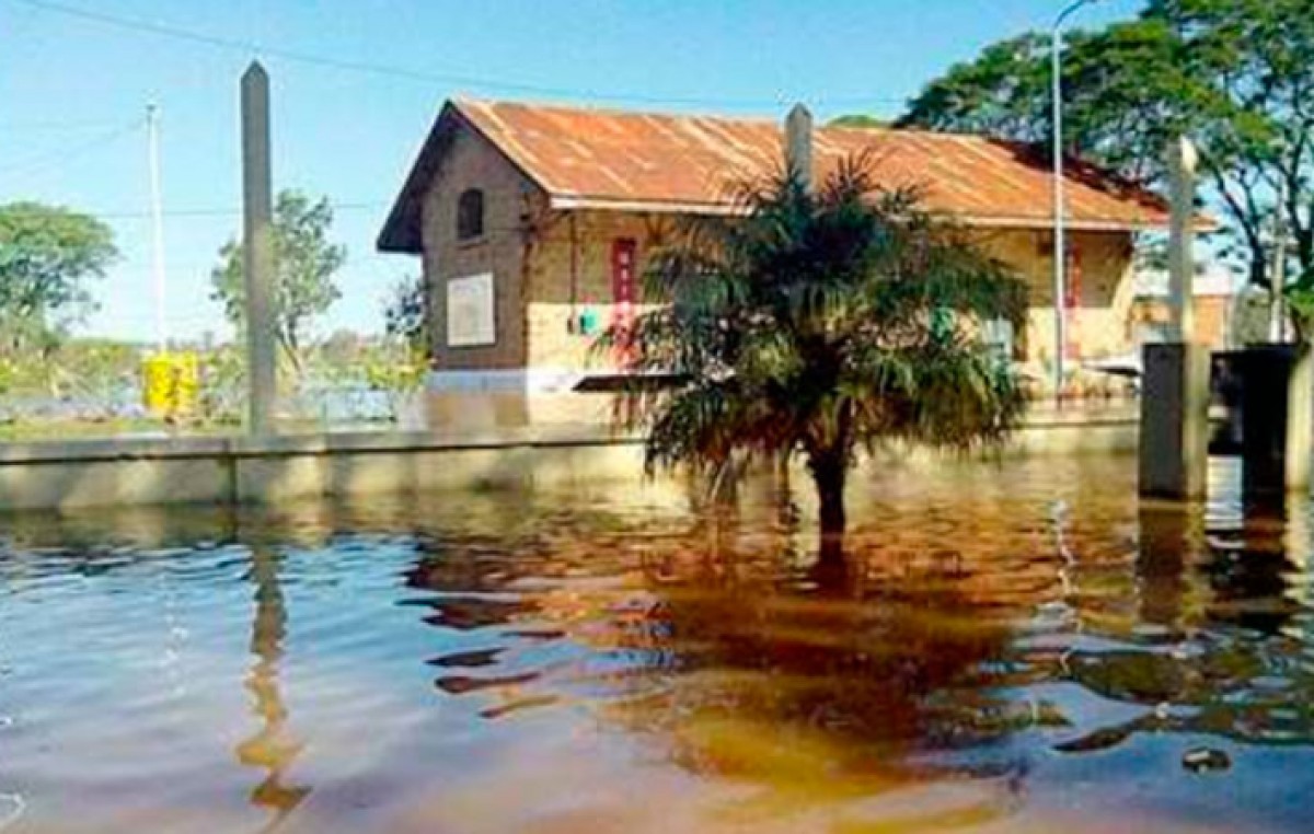 Tuvieron que dejar sus casas 159 familias en Concordia por la crecida del río