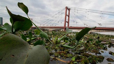 Fenómeno de El Niño: el Municipio de Santa Fe declaró la Emergencia Hídrica