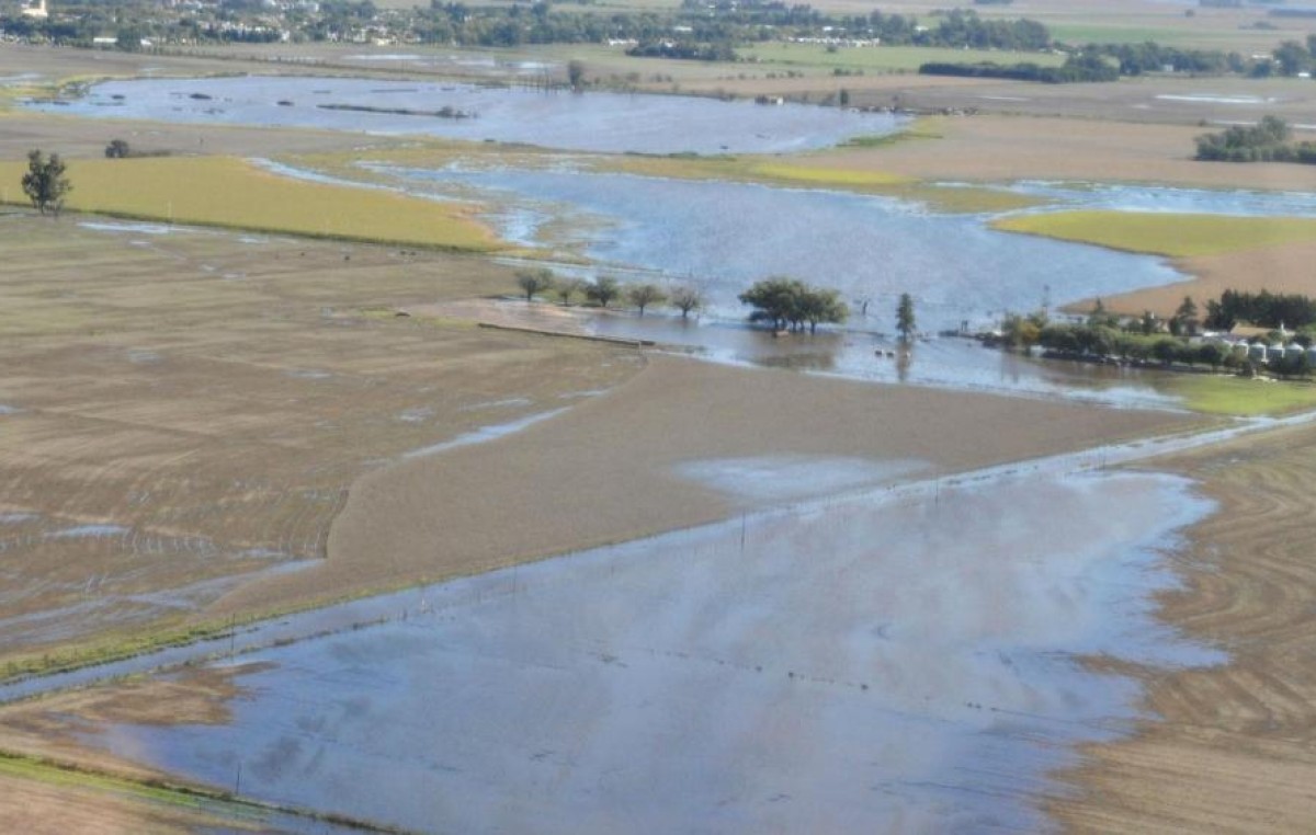 Estiman en 70 mil las hectáreas bajo agua en el sudeste cordobés