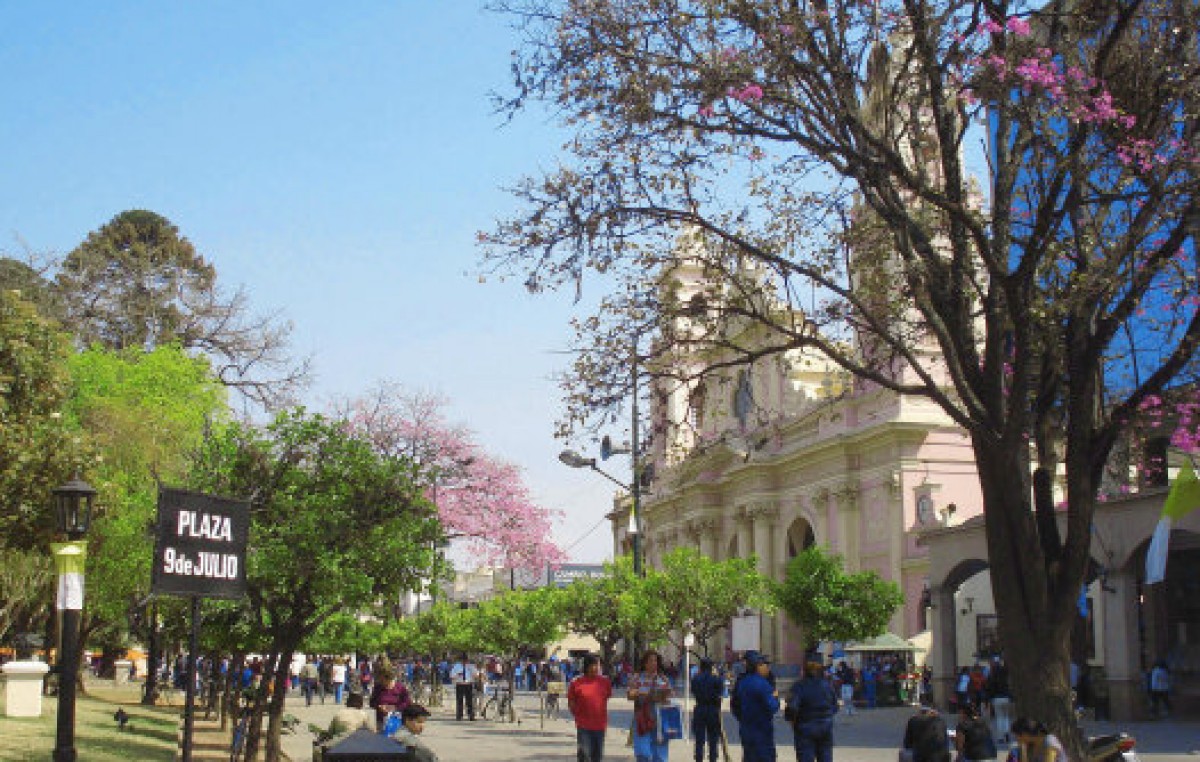 El Vivero Municipal de Salta reforestará los espacios verdes de la ciudad con especies autóctonas