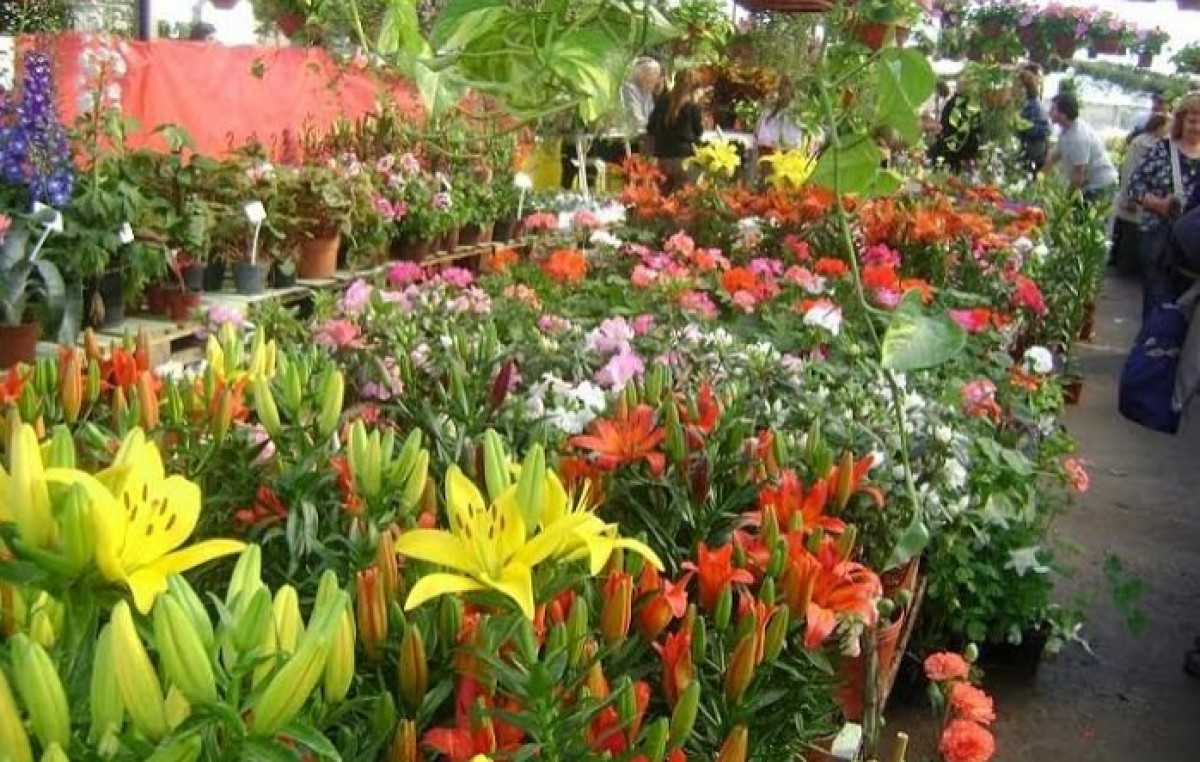 Crearán en Salta un vivero de especies exóticas y nativas
