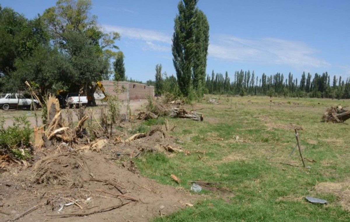 La urbanización devora las últimas chacras del oeste neuquino